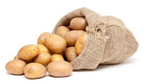 Thomas Foods International says its Mondello Farms acquisition gives it an even greater presence on the dinner plate.